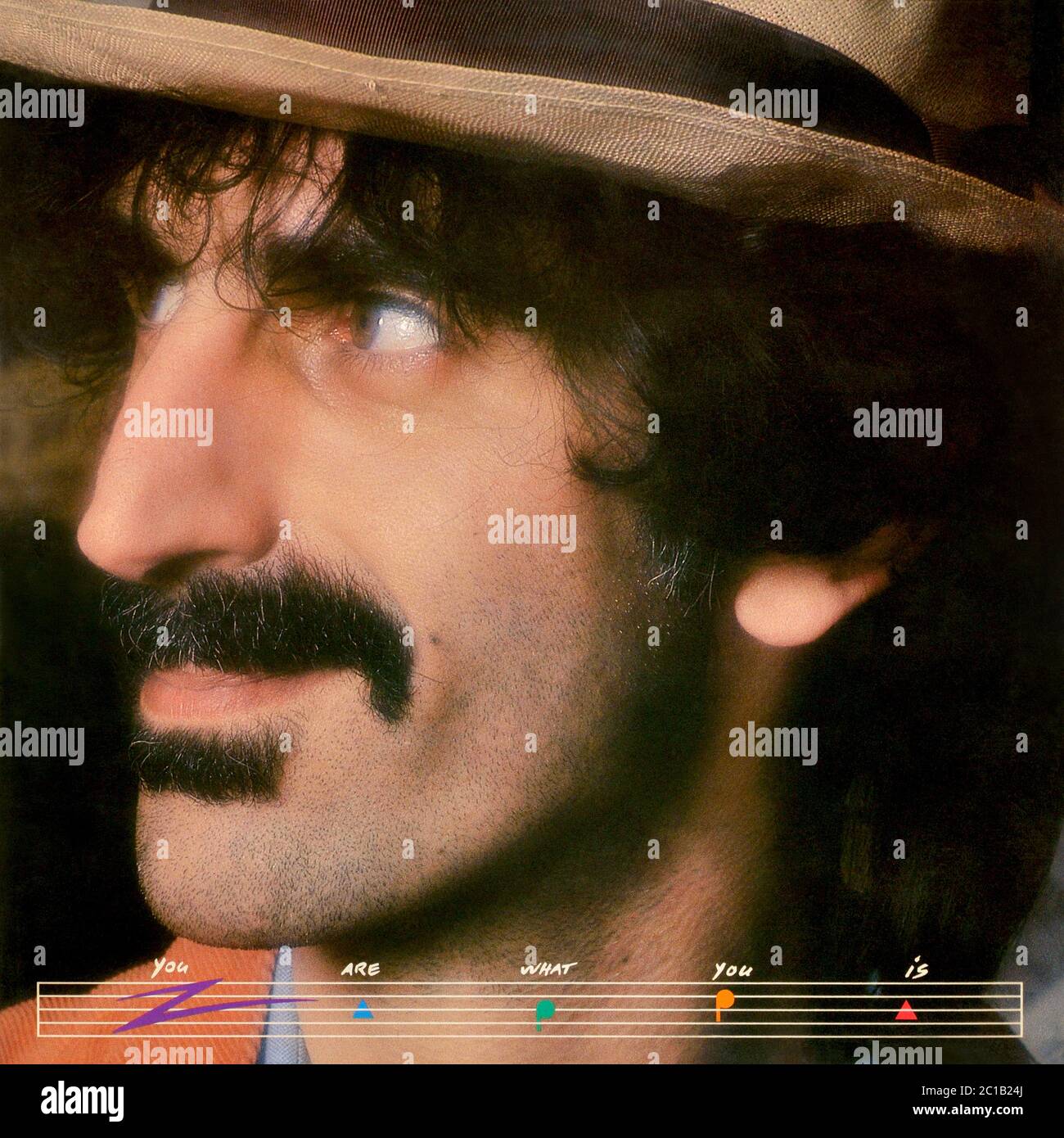 Frank Zappa - copertina originale dell'album in vinile - You are What You is - 1995 Foto Stock