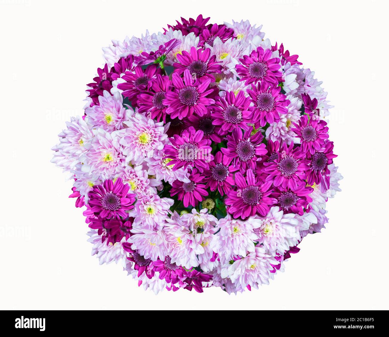 sopra la vista mazzo di fiori, bouquet di crisantemo isolato su sfondo bianco Foto Stock