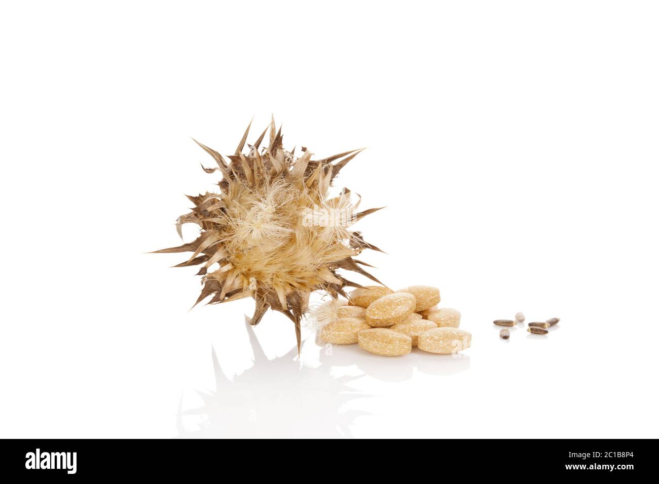 Silybum marianum capsule. Foto Stock