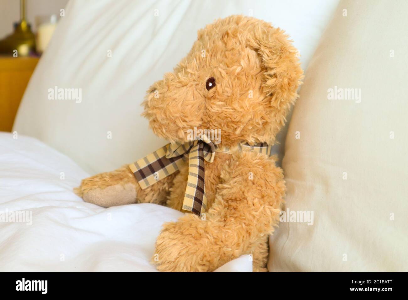 Primo piano di orsacchiotto marrone in letto, con biancheria bianca, in una camera da letto luminosa e ariosa Foto Stock