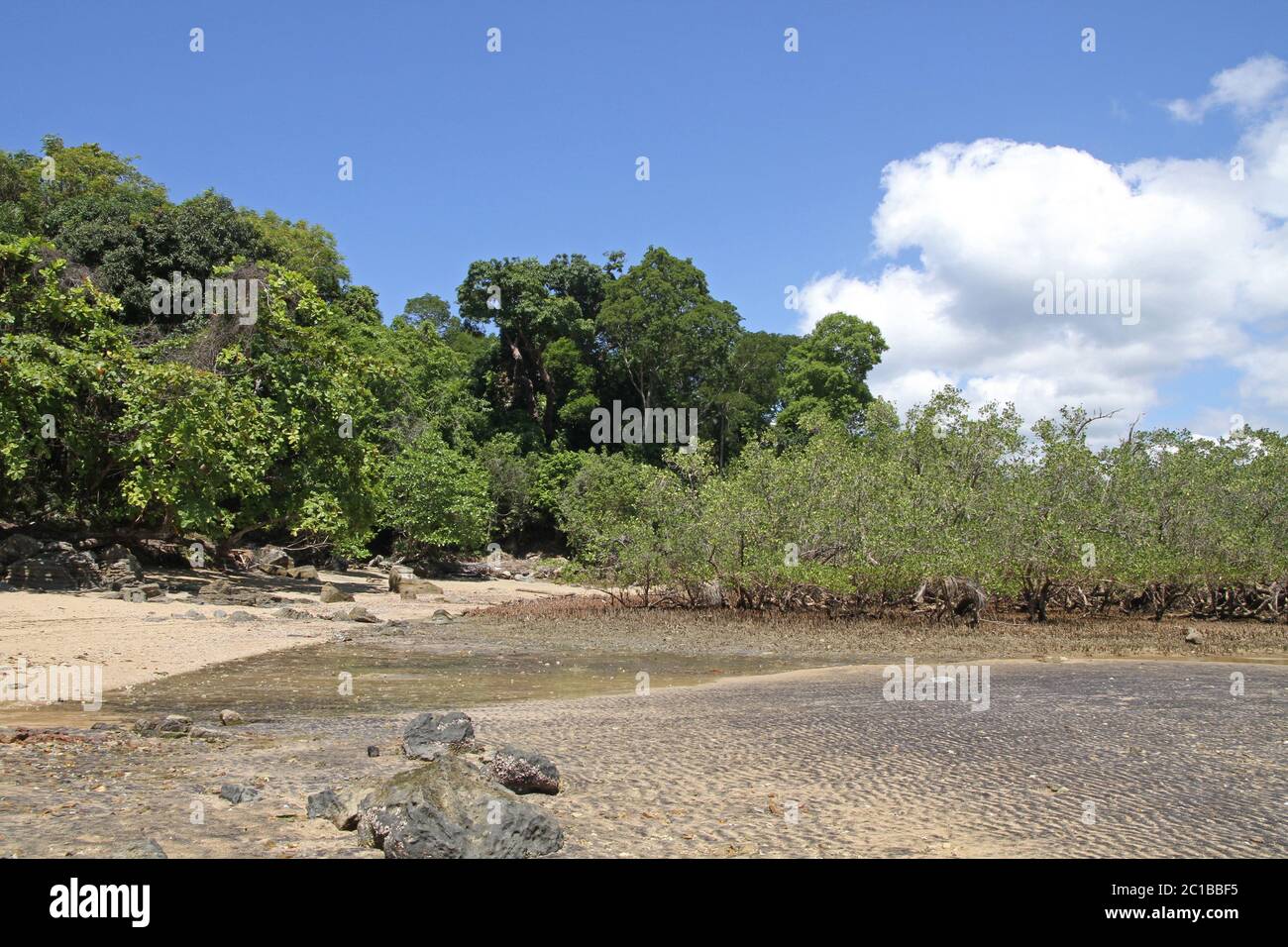 Mangrovie sulla spiaggia a bassa marea, Ampangorinana Village, Isola di Nosy Komba, Madagascar. Foto Stock