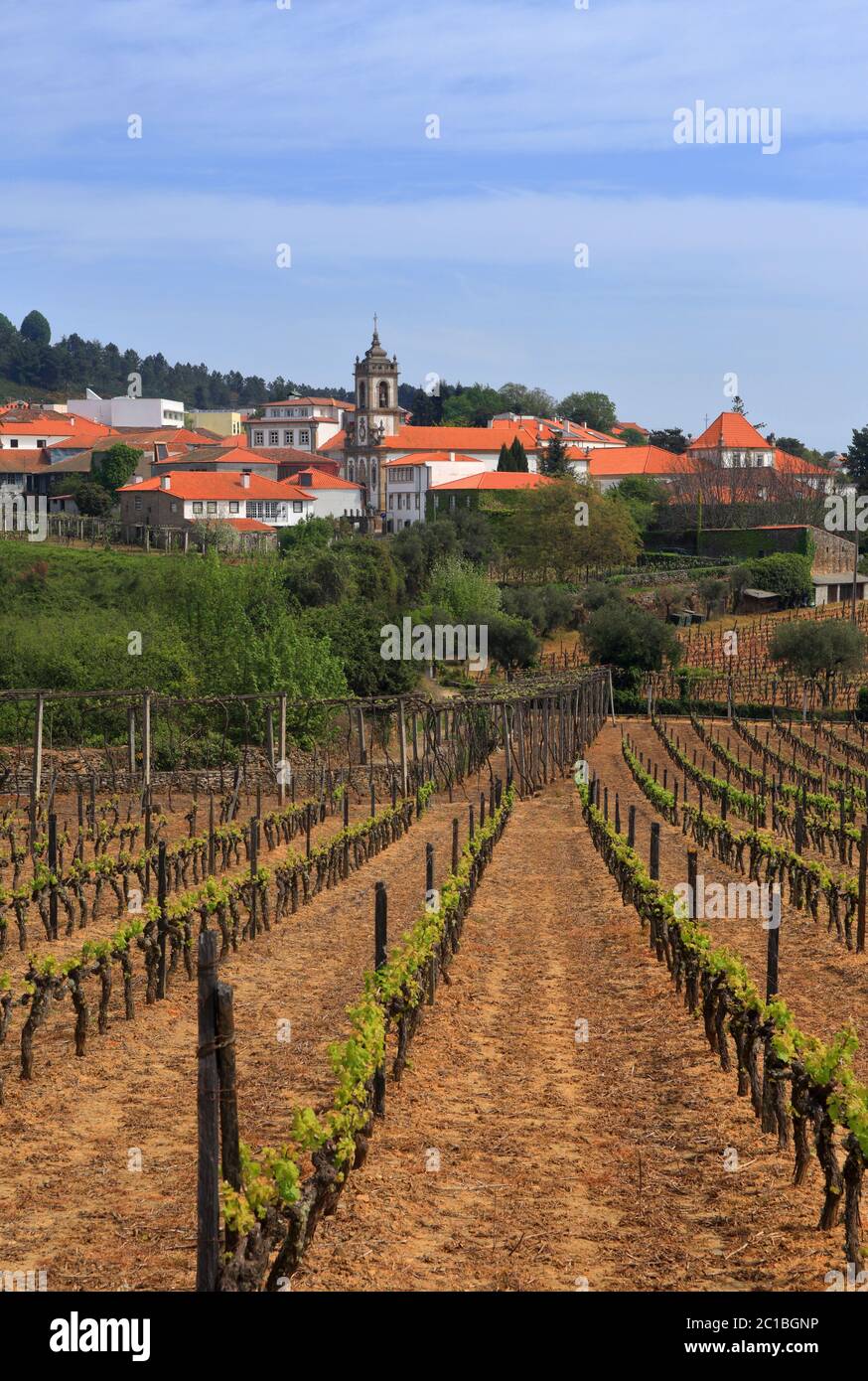 Portogallo, Sabrosa, Regione viticola di Douro. Vista della città storica e della chiesa parrocchiale dai vigneti della prima primavera. Sito UNESCO. Foto Stock