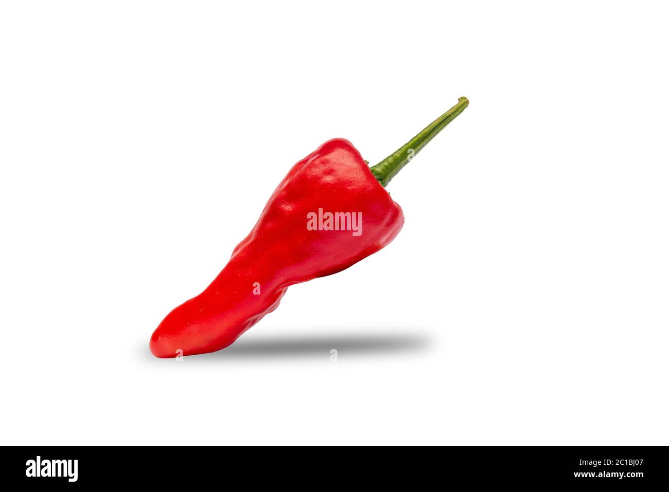 Rosso isolato peperoncino vista ravvicinata con sfondo bianco e spazio per la copia Foto Stock