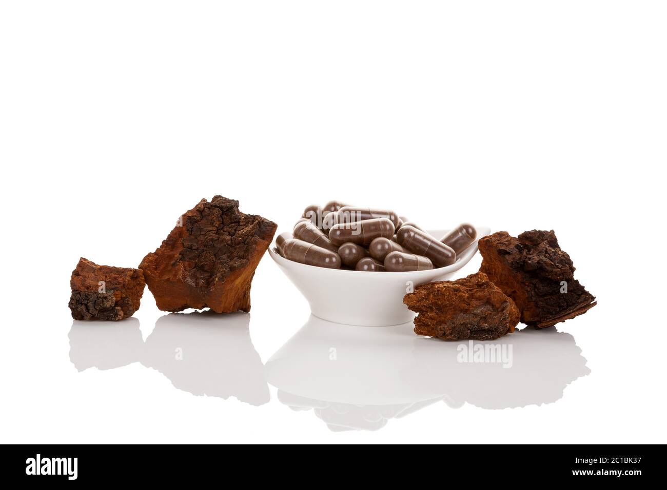 Inonotus obliquus. Chaga fungo. Foto Stock