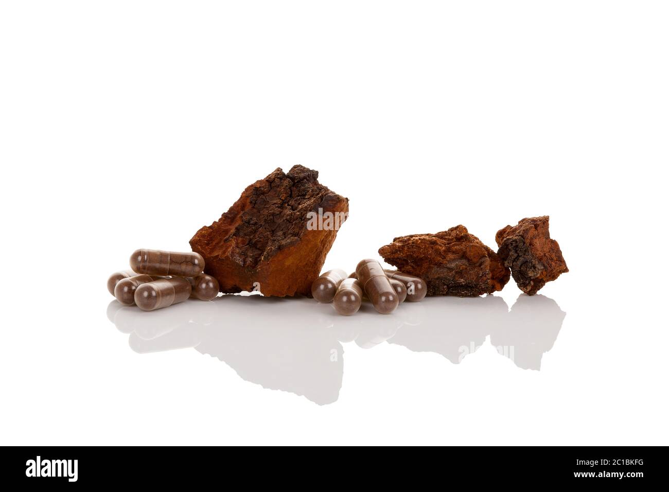 Inonotus obliquus. Chaga fungo. Foto Stock