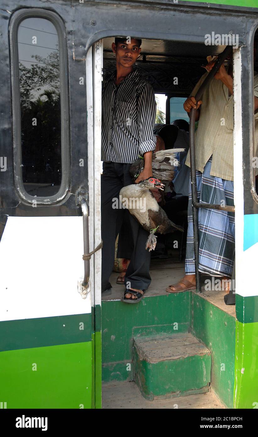 Bagerhat in Bangladesh. Un uomo su un autobus con un'anatra. Trasporto locale a Bagerhat, Bangladesh. Foto Stock