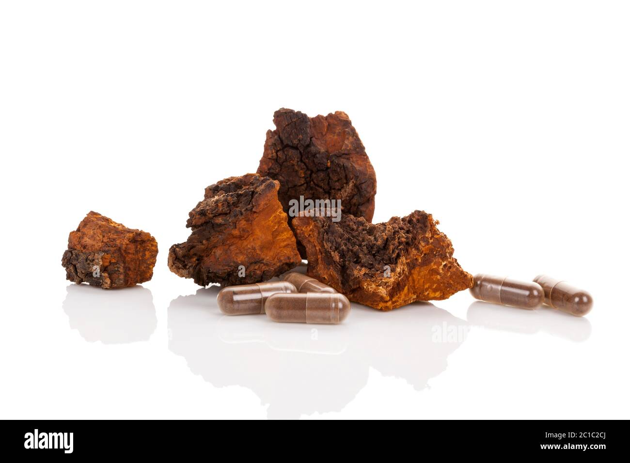 Inonotus obliquus, chaga frammenti isolati. Foto Stock