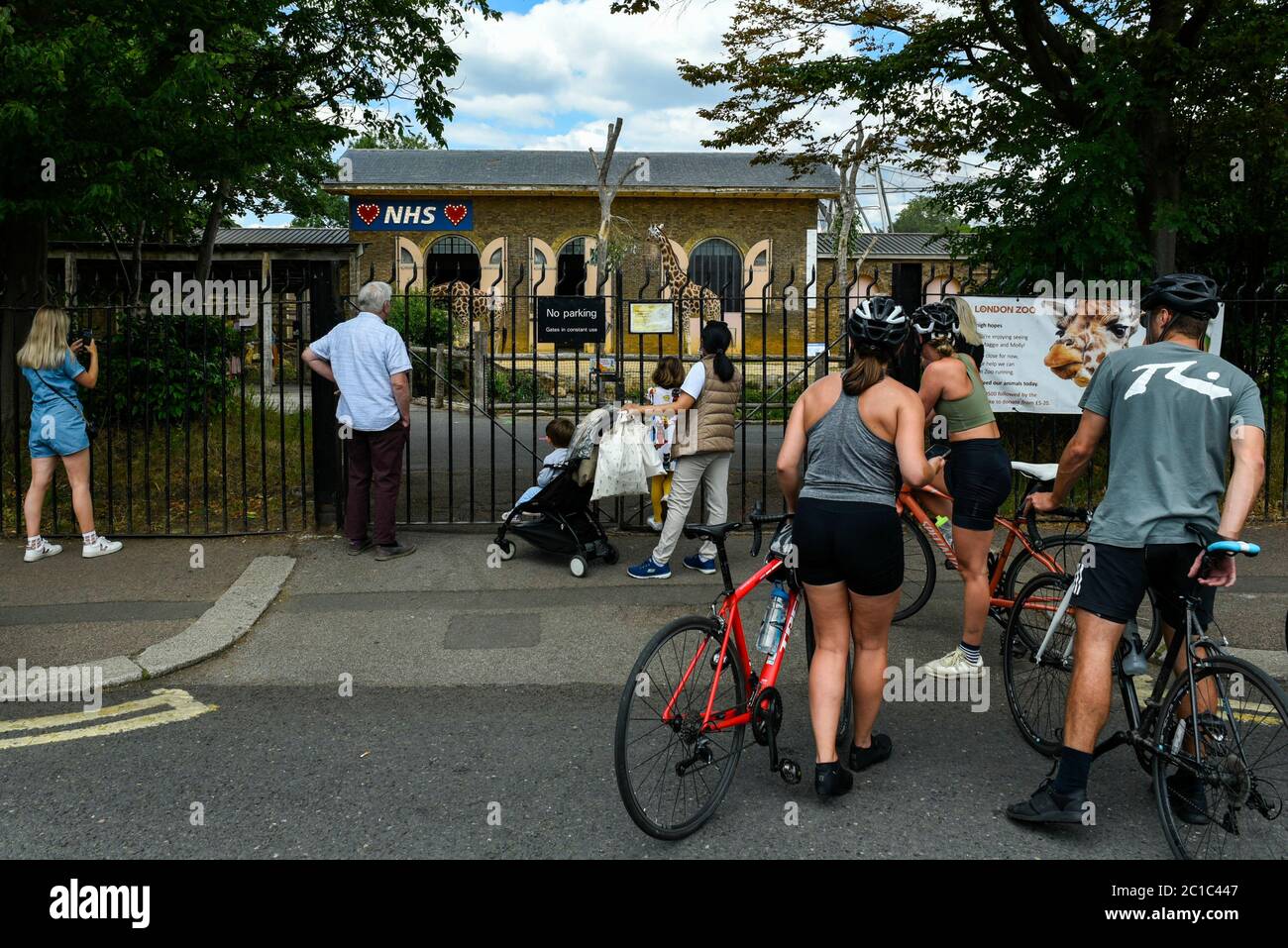 Londra, Regno Unito. 15 giugno 2020. Passers da guardare sulla recinzione di giraffes Maggie e Mollie nel giorno di riapertura dello ZSL London Zoo, il primo giorno che lo zoo è stato aperto al pubblico da marzo a seguito del blocco pandemico coronavirus. Il governo britannico ha allentato le restrizioni del Covid-19 che consentono a negozi non essenziali, zoo e parchi safari di riaprire al pubblico dal 15 giugno. Credit: Stephen Chung / Alamy Live News Foto Stock