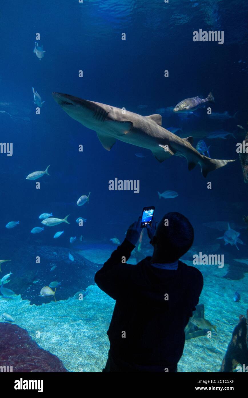 Virginia Aquarium e Marine Science Center Virginia Beach Foto Stock