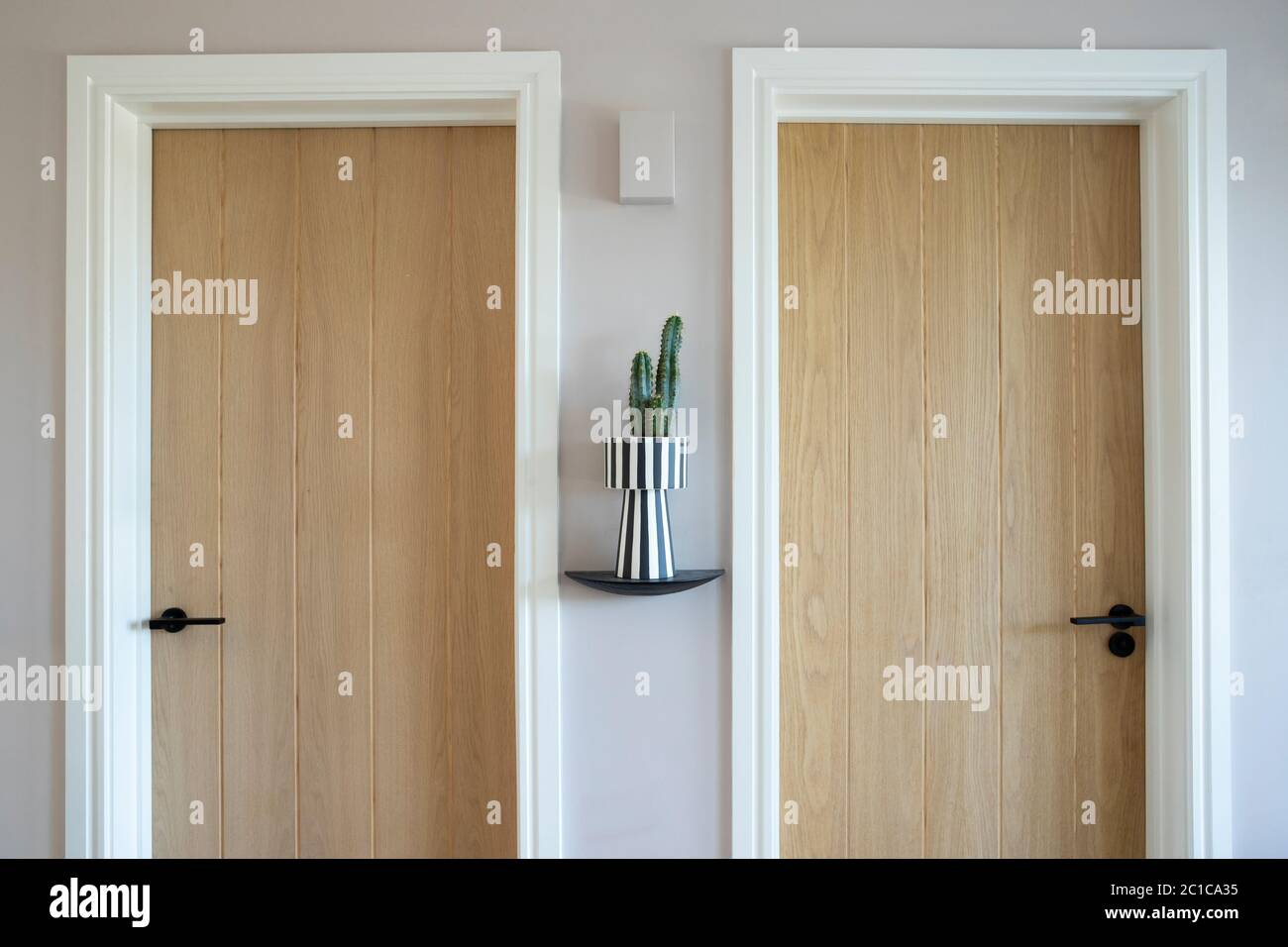 Primo piano di due porte in legno con Cactus in vaselletta su scaffale in Casa moderna Foto Stock
