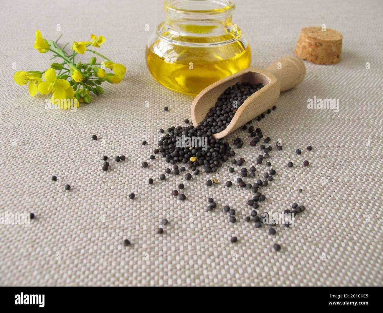 Olio di colza e colza Foto Stock Olio di colza e colza Foto Stock