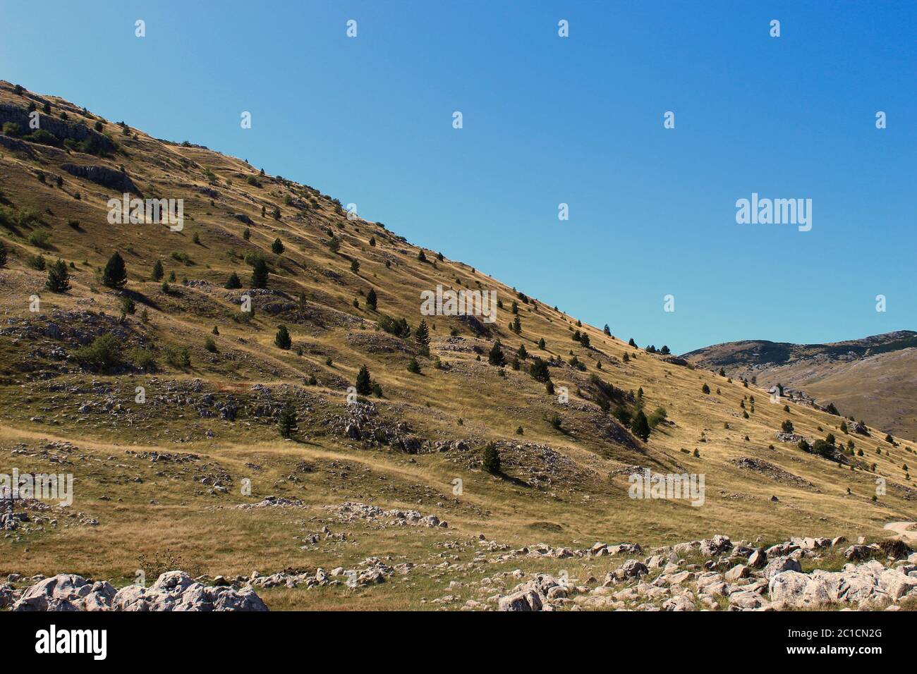 Paesaggio ondulato, collinare, roccioso del Bjelasnica montagna bosniaca. Montagna Bjelasnica, Bosnia ed Erzegovina. Foto Stock