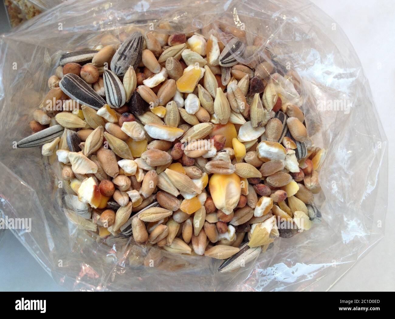 mangia il pollo in un piccolo sacchetto di plastica Foto Stock