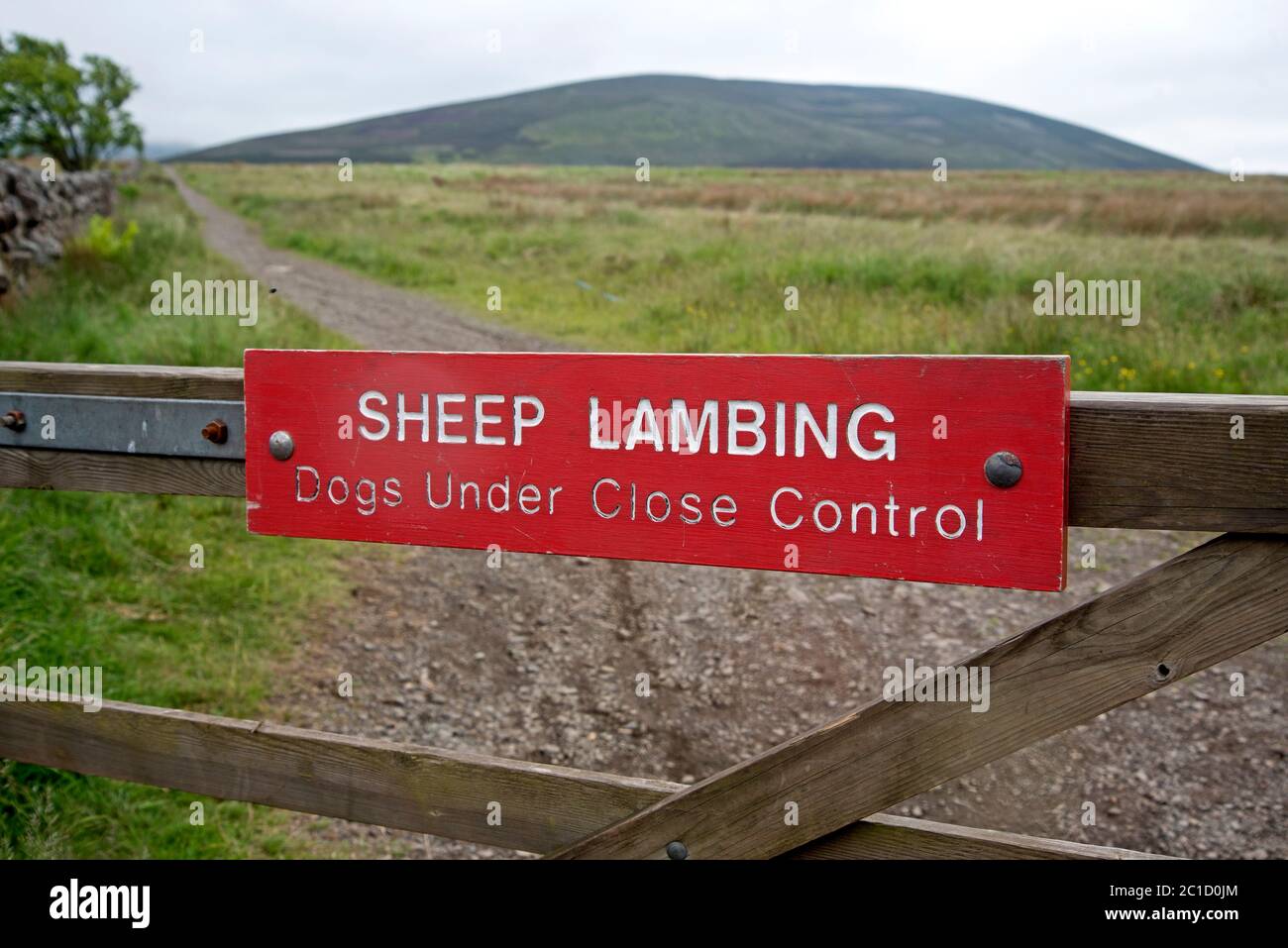 "Heep Lambing, Dogs under close control" segno su un cancello nelle colline Pentland vicino Edimburgo, Scozia, Regno Unito. Foto Stock