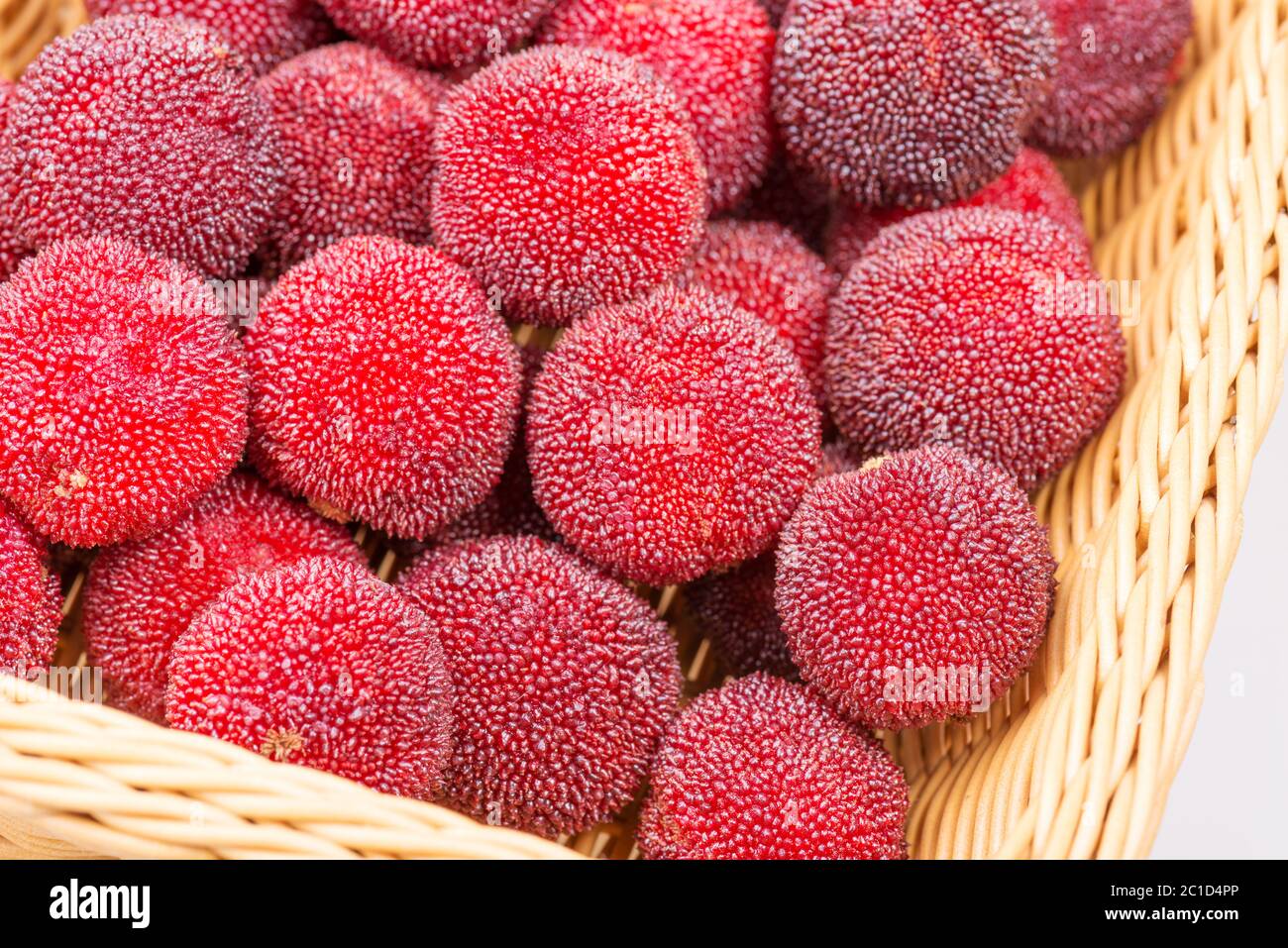 Rosso e mature waxberry sotto lo sfondo bianco Foto Stock