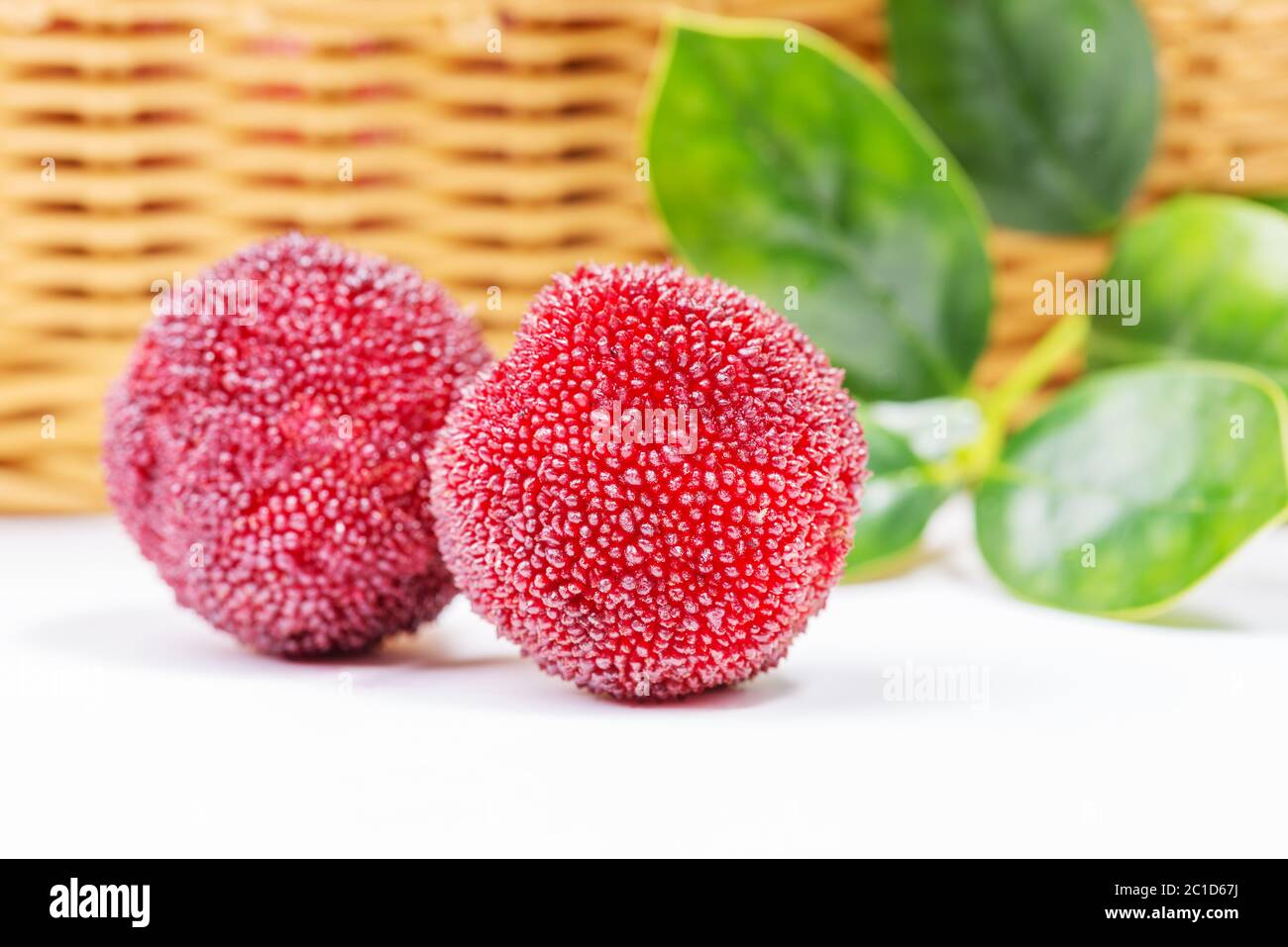 Rosso e mature waxberry sotto lo sfondo bianco Foto Stock