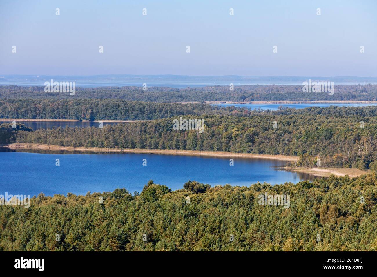 Vista su Priesterbäker See / Lago Priesterbaek, Nationalpark Müritz / Parco Nazionale di Mueritz in fine estate / autunno, Meclemburgo-Vorpommern, Germania Foto Stock