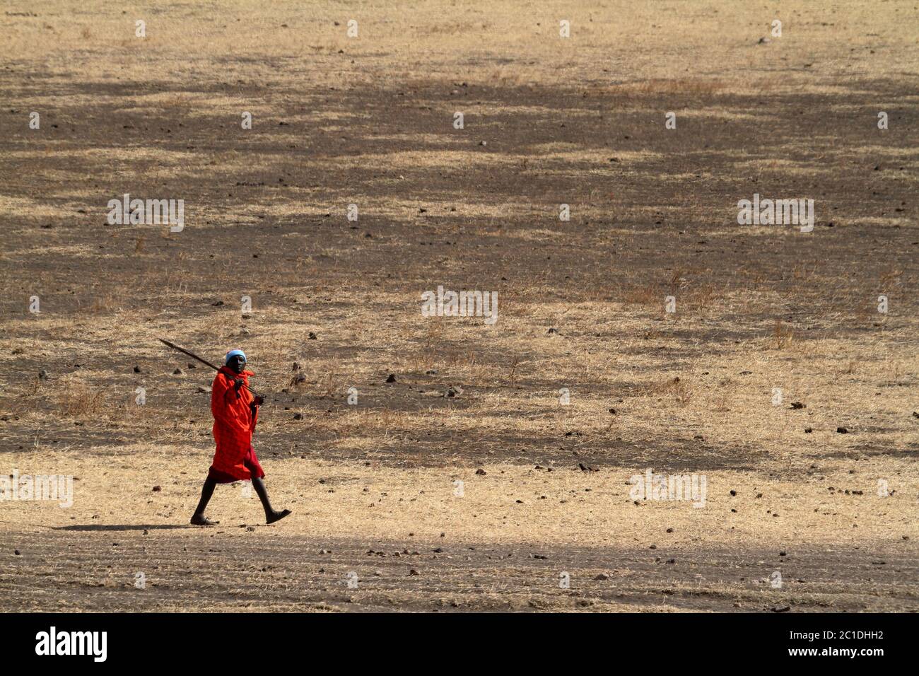 Massai nella Savannah Serengeti Foto Stock