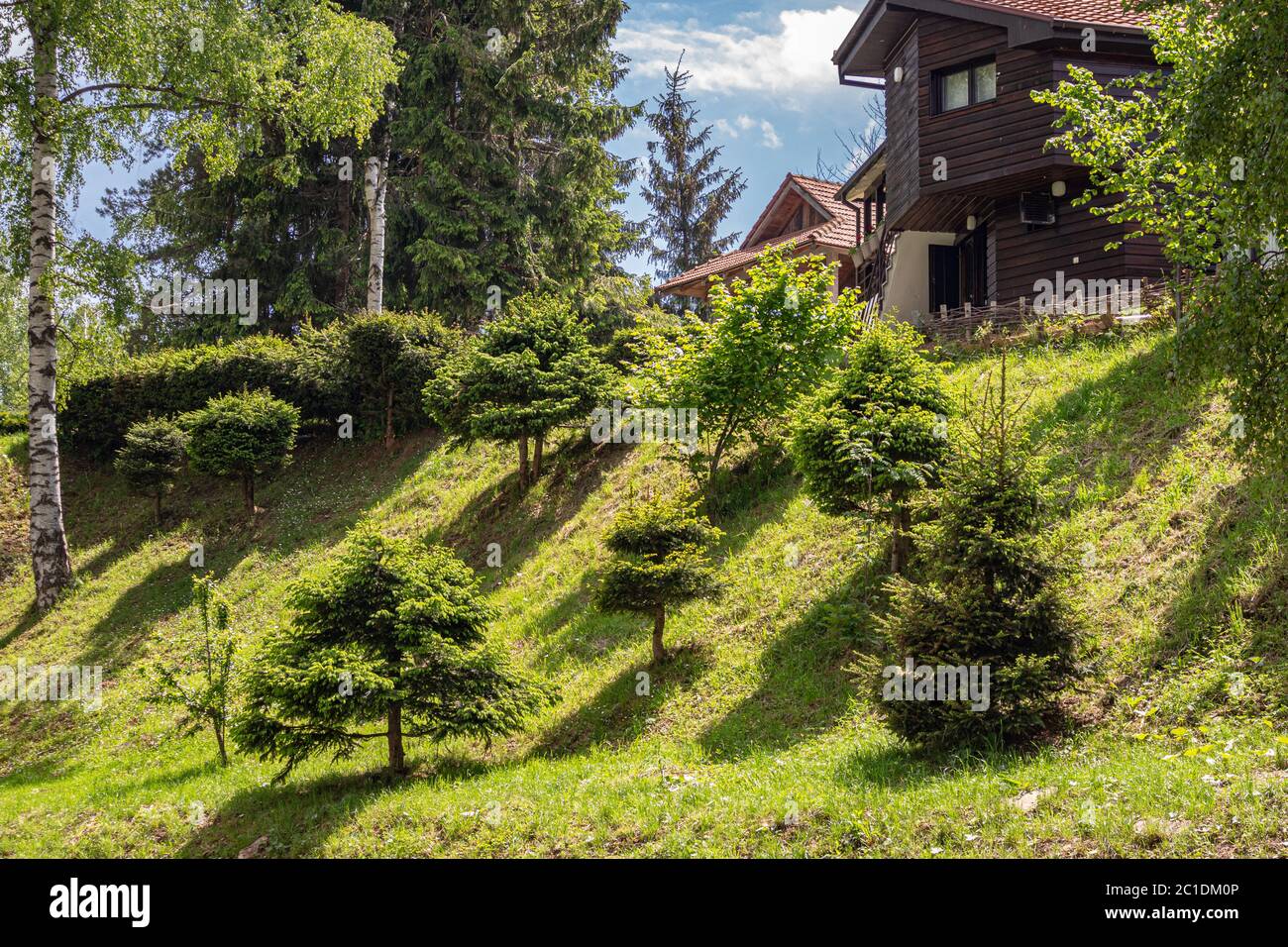 Lago Vlasina, Serbia - Giugno 14. 2020 Grande cortile della casa di legno con pini e erba verde in una giornata soleggiata in villaggio Foto Stock