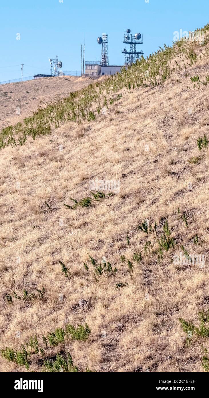 Pendio verticale ripido di montagna con luce diurna erba secca Foto Stock
