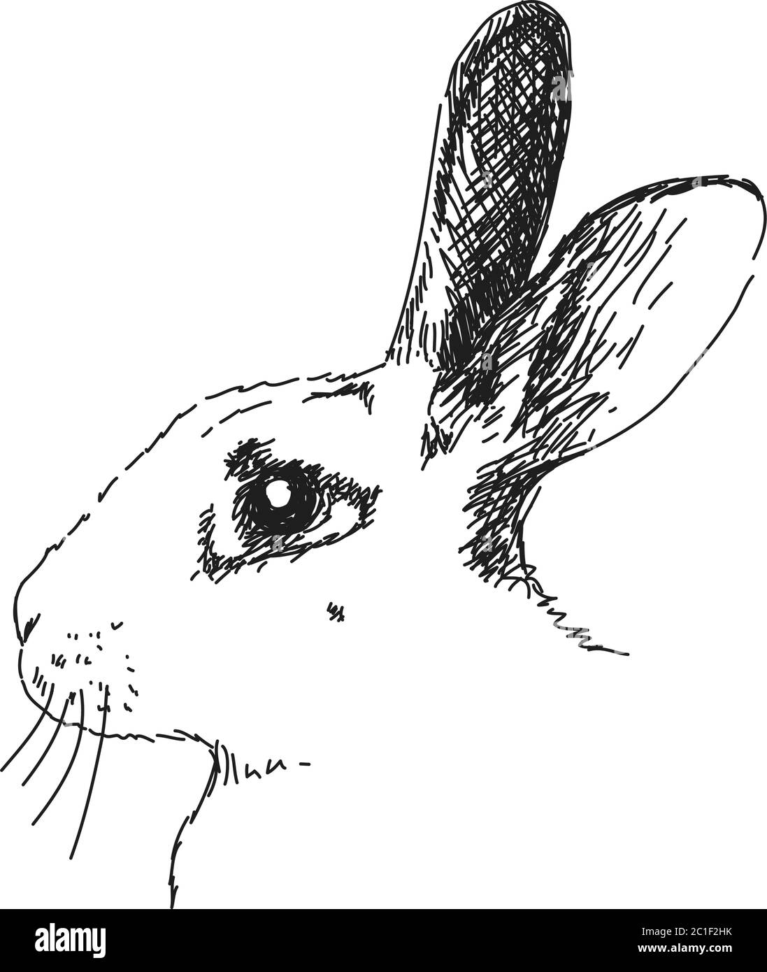 Ritratto di coniglio con occhio grande, disegno vettoriale, illustrazione disegnata a mano Illustrazione Vettoriale
