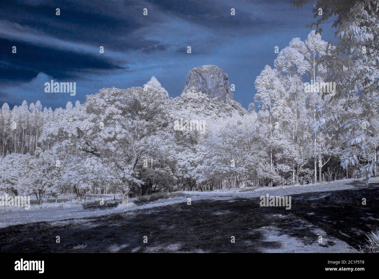 Monte Cuscuzeiro ad Analandia - San Paolo - Brasile a infrarossi IR 720nm Foto Stock