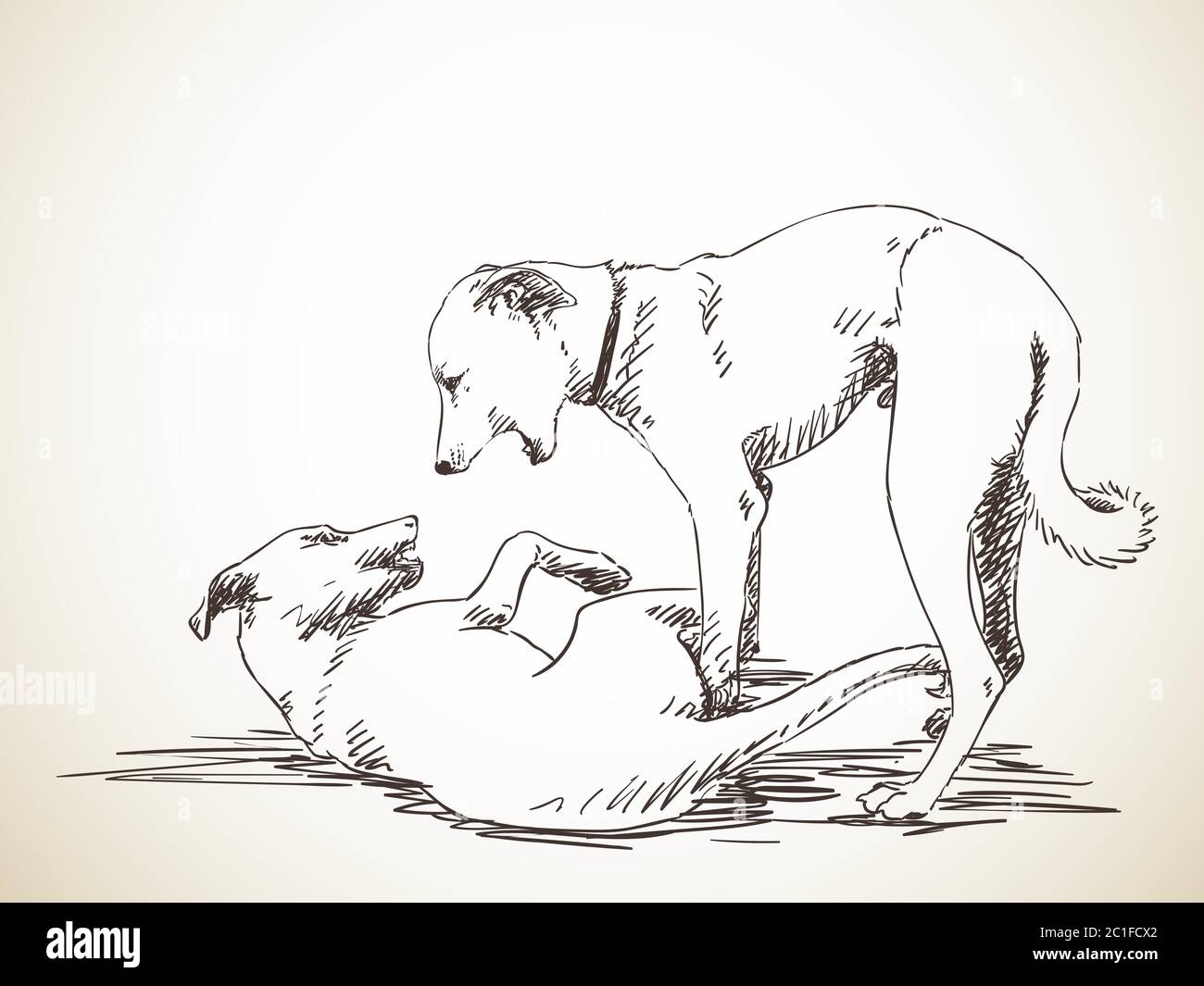 Schizzo di due cani da gioco. Illustrazione disegnata a mano. Isolato Illustrazione Vettoriale