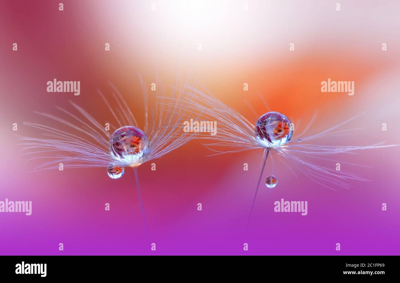 Incredibilmente bella natura.Arte fotografia.Conceptual abstract image.Web Banner.Valentine day.Love. Foto Stock