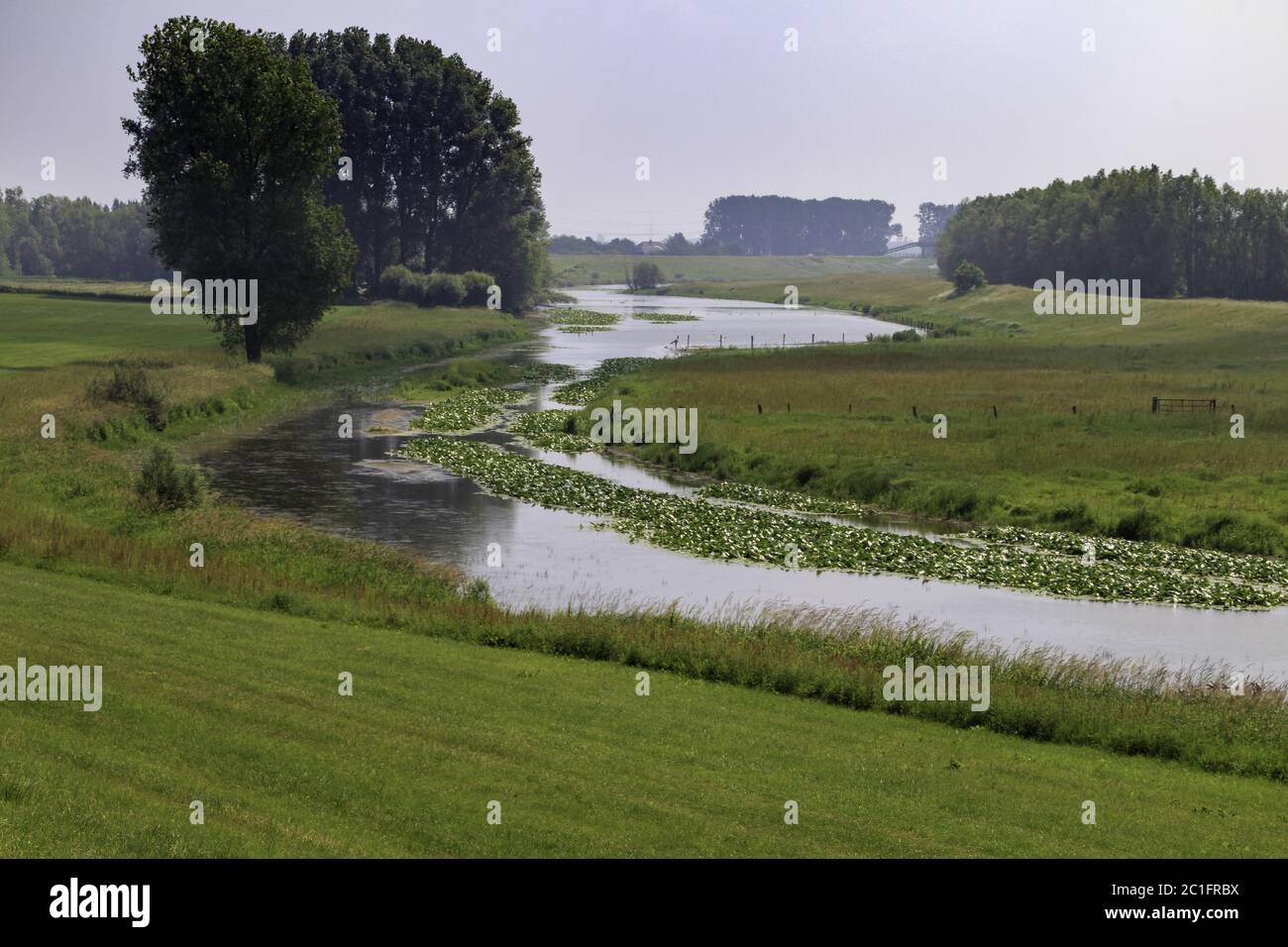 Paesaggio delle pianure alluvionali del Reno, vicino a Rees, basso Reno, Nord Reno-Westfalia, Germania, Europa Foto Stock