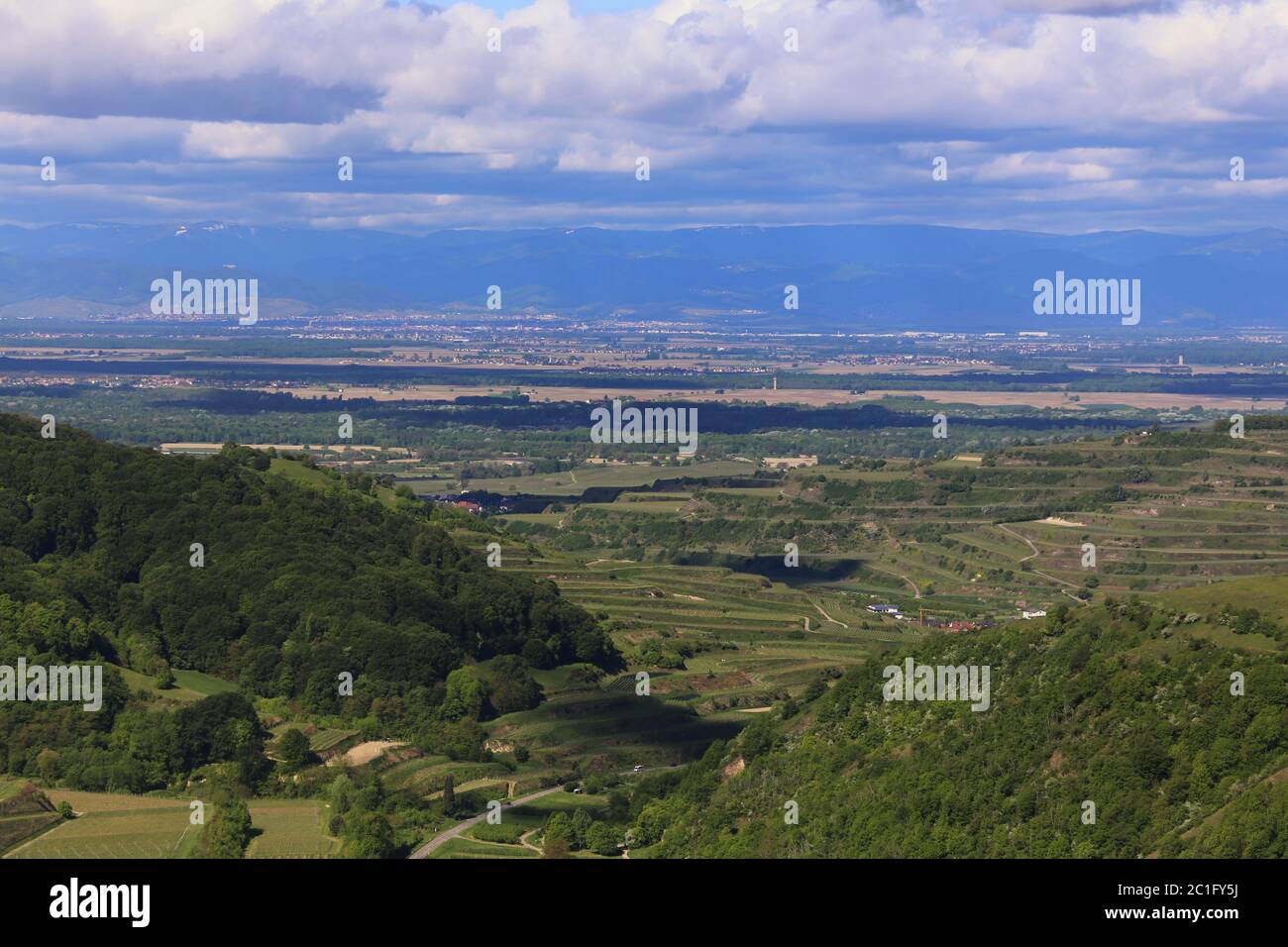 vista dalla torre eichelspitz nella sedia imperiale verso i vosgi Foto Stock