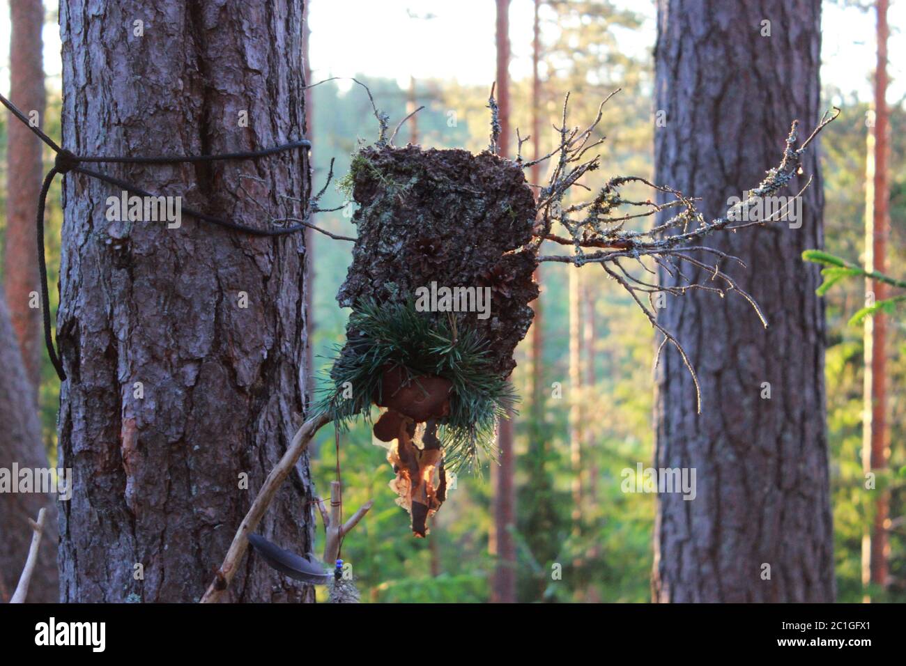 un idolo di foresta da bastone di corteccia e coni di pino fatto per coax gli spiriti. paganesimo Foto Stock