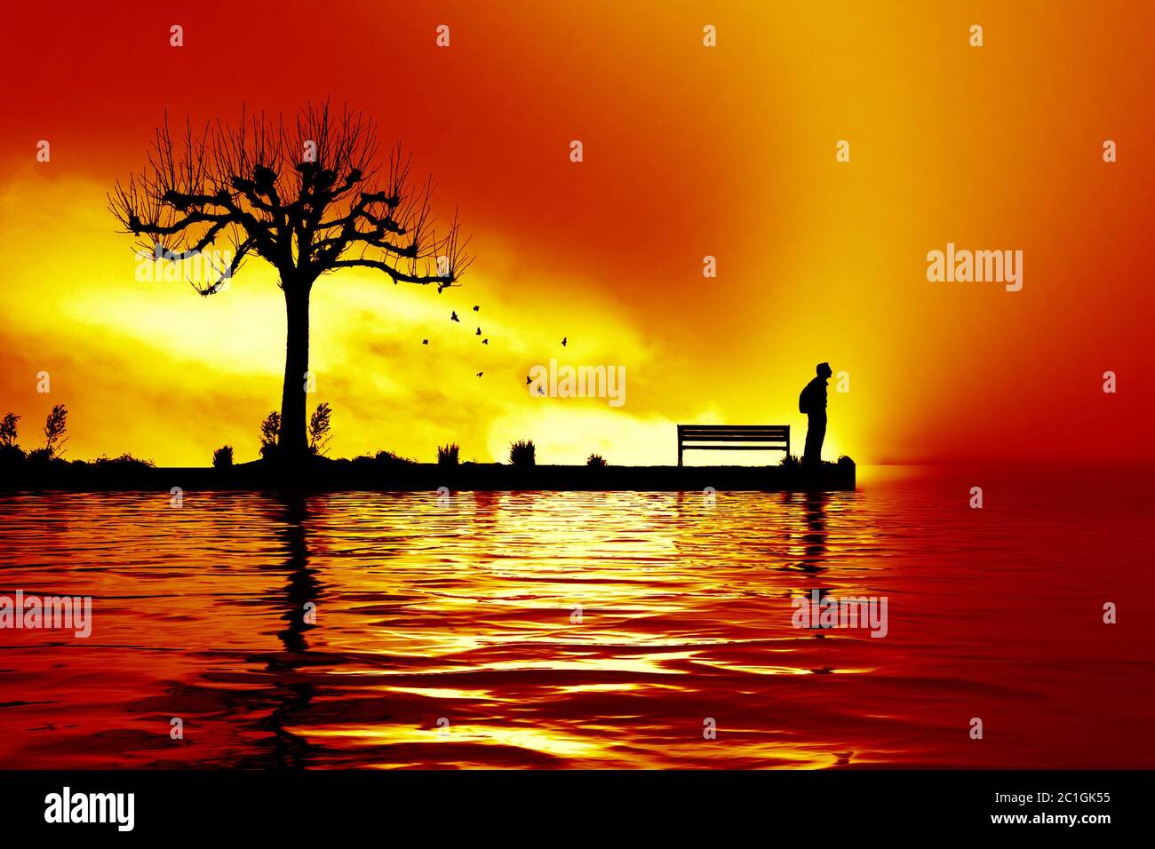 uomo al lago del tramonto Foto Stock