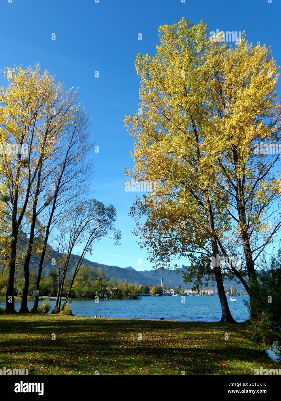 Alberi sulla riva del lago con foglie d'autunno gialle di fronte al cielo blu d'acciaio Foto Stock