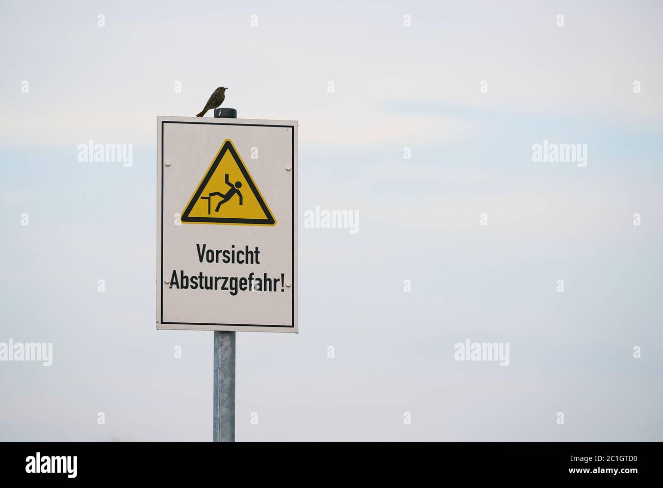 Segno con l'iscrizione 'attenzione, pericolo di caduta'. Sul segno siede un uccello. Foto Stock