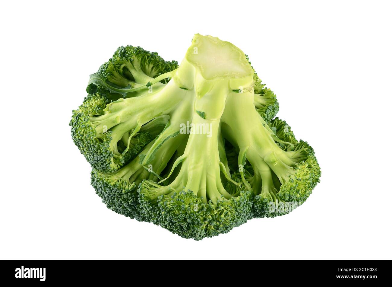 Broccoli freschi isolati su sfondo bianco Foto Stock