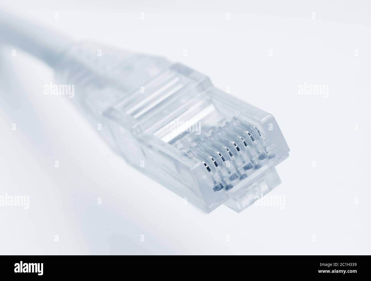Primo piano del connettore rj45 del cavo patch per il collegamento LAN su sfondo bianco. Foto Stock