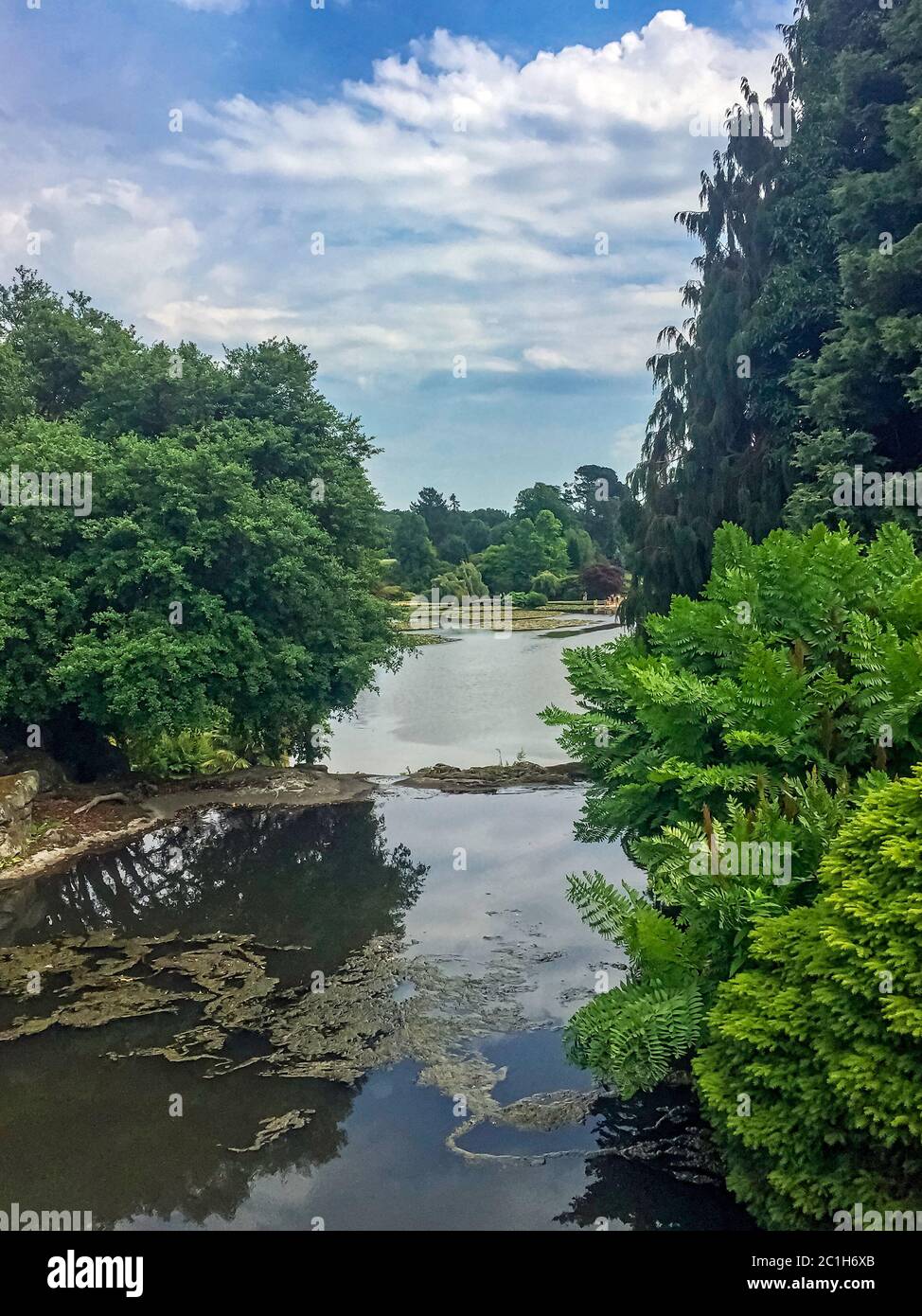 Inglese natura in verde a Uckfield, Regno Unito Foto Stock