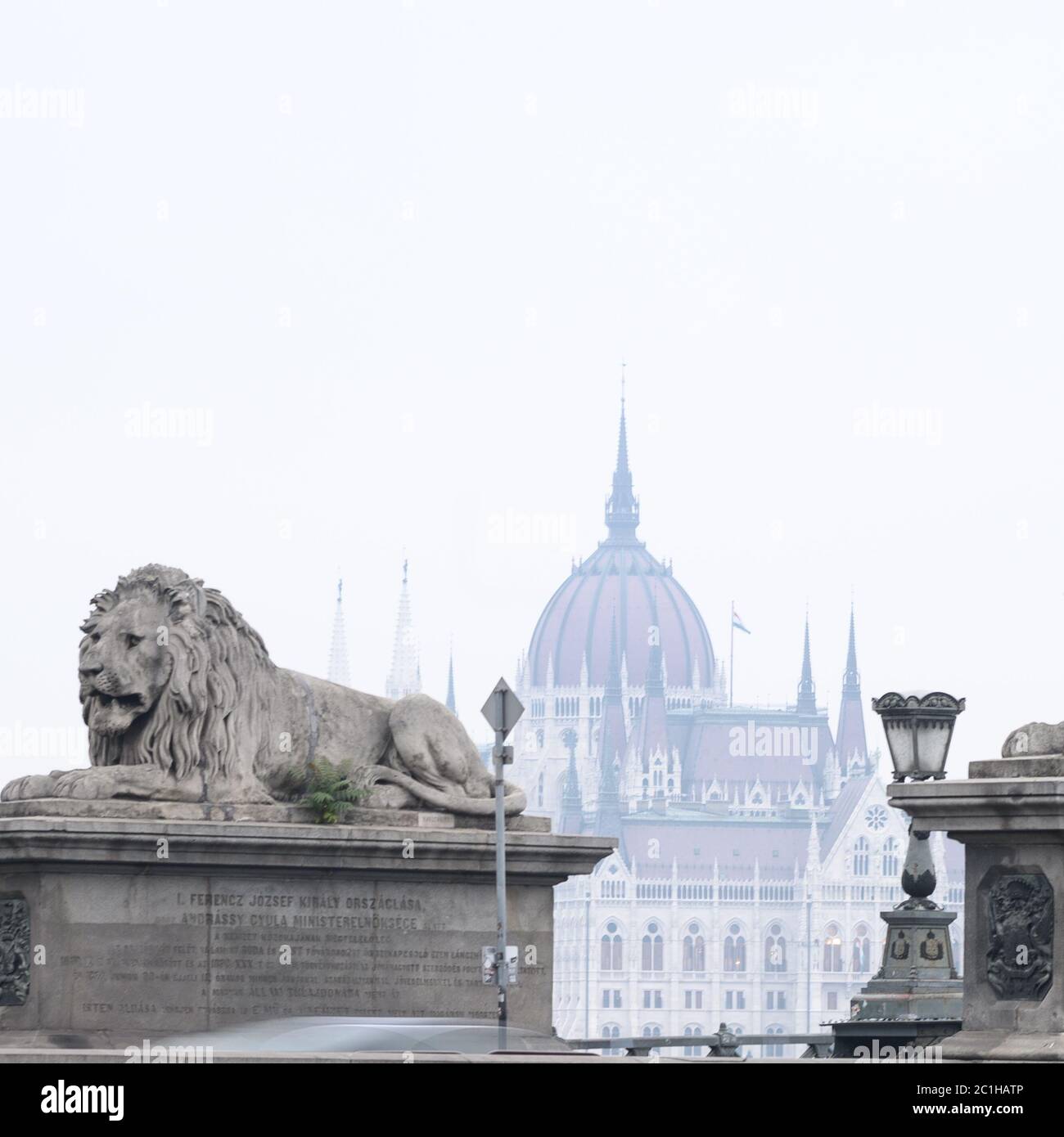 Statua del Leone sul Ponte delle catene di Budapest. Fiume Danubio. Foto Stock