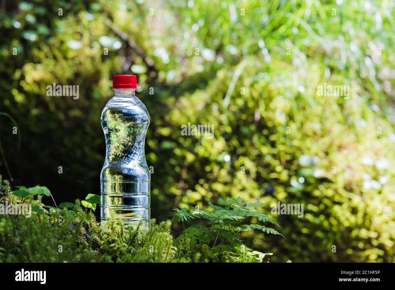 Plastica trasparente UNA bottiglia di acqua pulita con un coperchio rosso si trova nell'erba e muschio sullo sfondo del lussureggiante greene Foto Stock