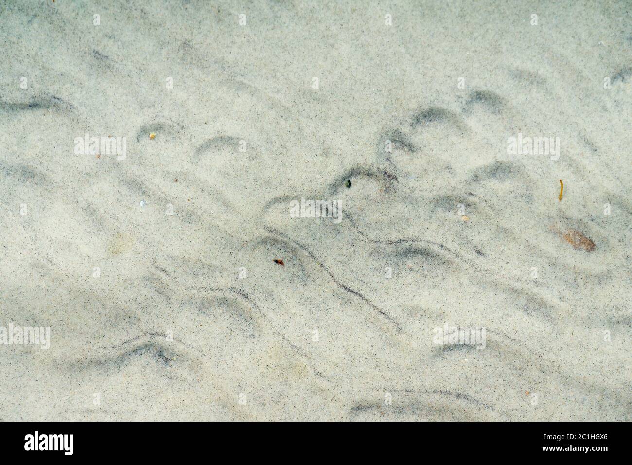 Sabbia bagnata e ondulata in fondo al lago. Sfondo astratto o trama . Foto Stock