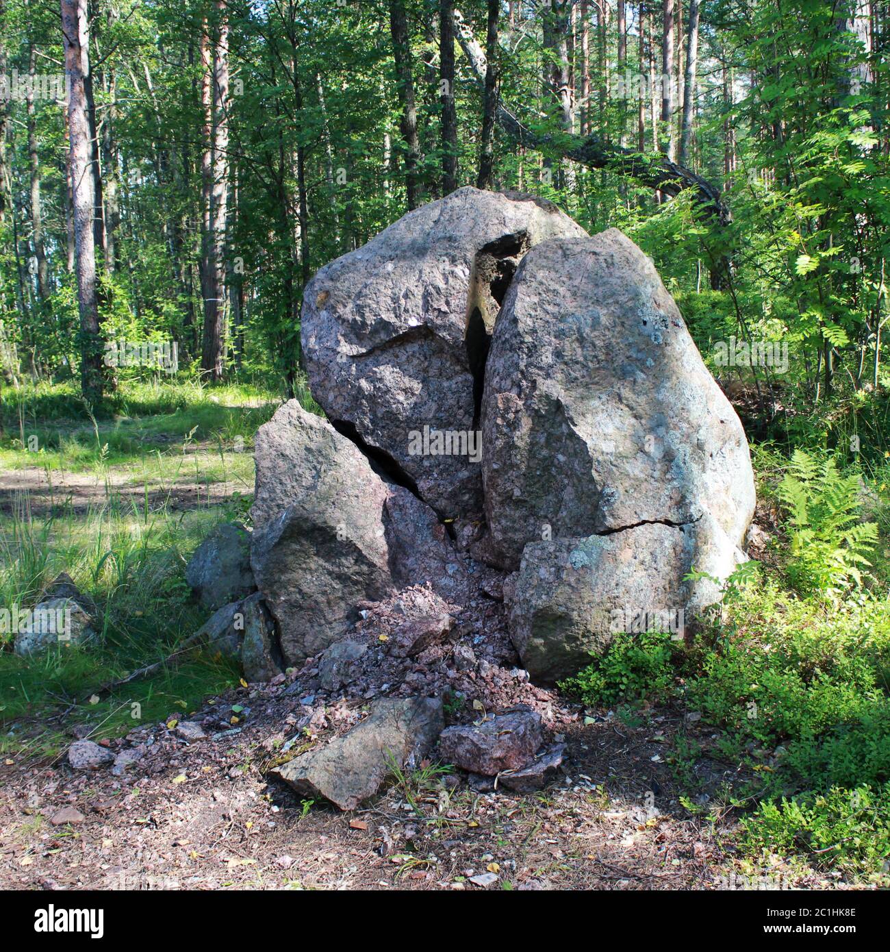 Un grande granito tritato si trova nella foresta. Russia, la regione di Leningrad. Foto Stock