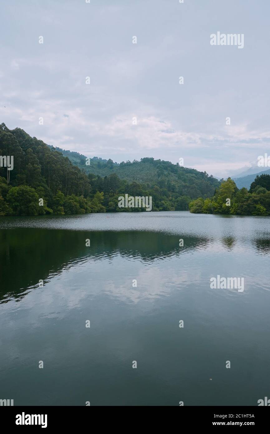 alberi nel lago in montagna Foto Stock