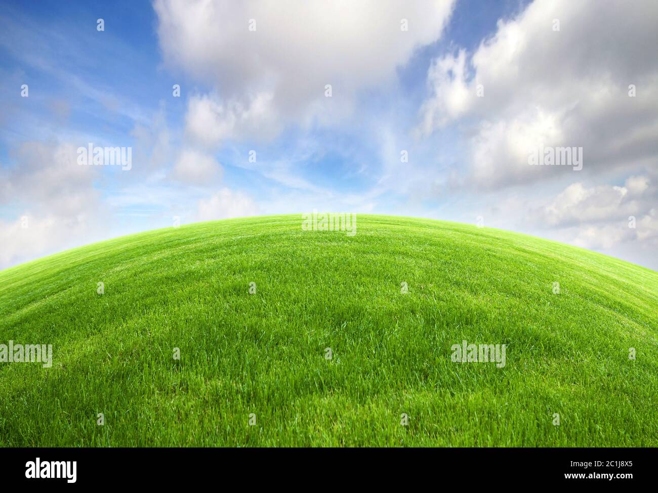 Verde campo di erba con un luminoso cielo blu Foto Stock