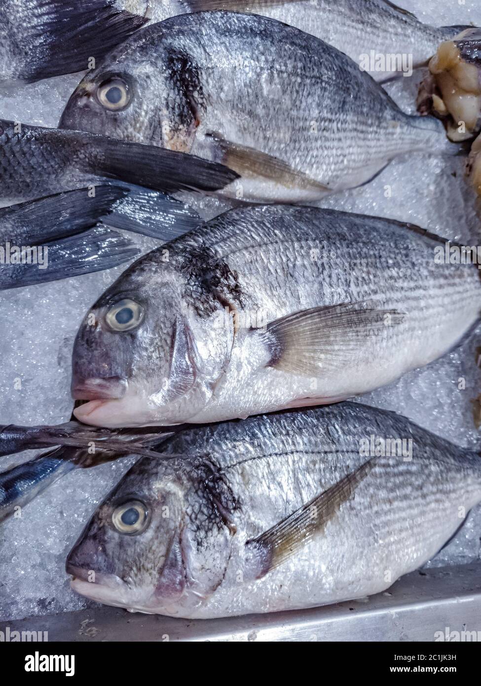 Varietà di pesci di mare al banco in un negozio di pesce greco Foto stock -  Alamy