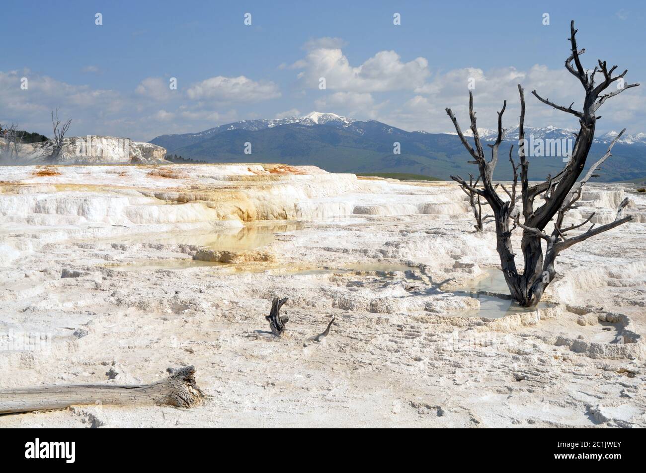 Yellowstone Foto Stock