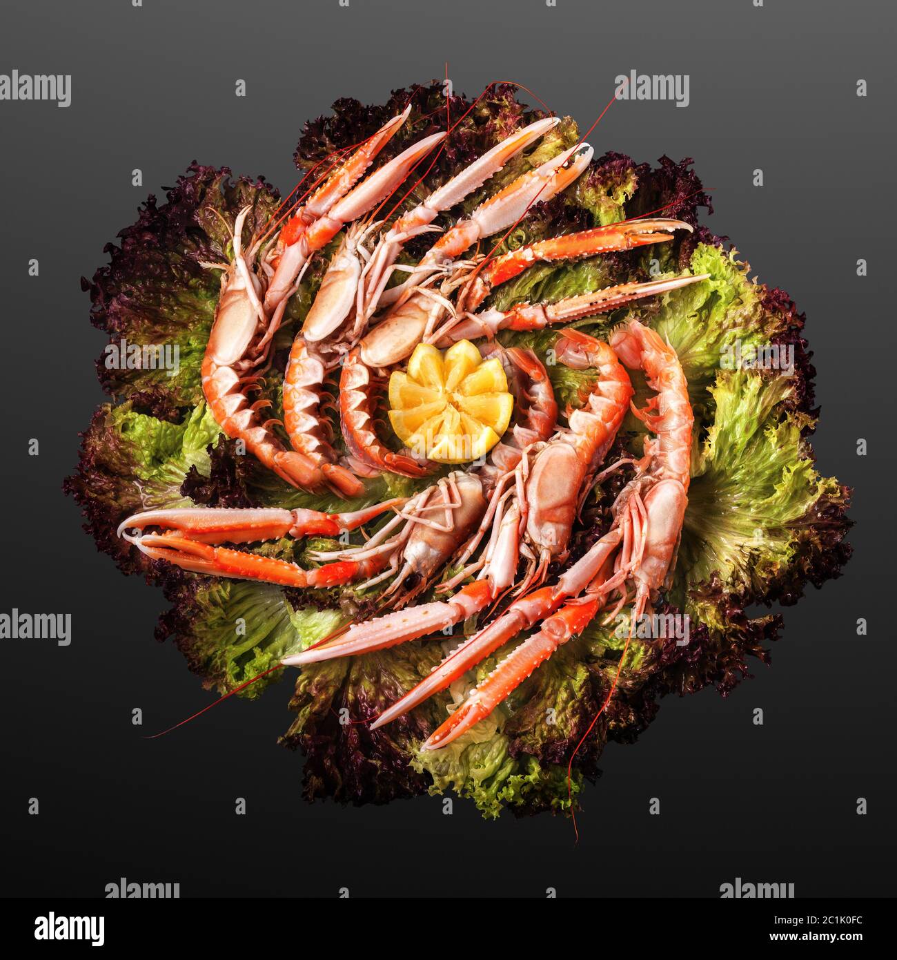 Aragosta norvegese alla griglia. Foto Stock