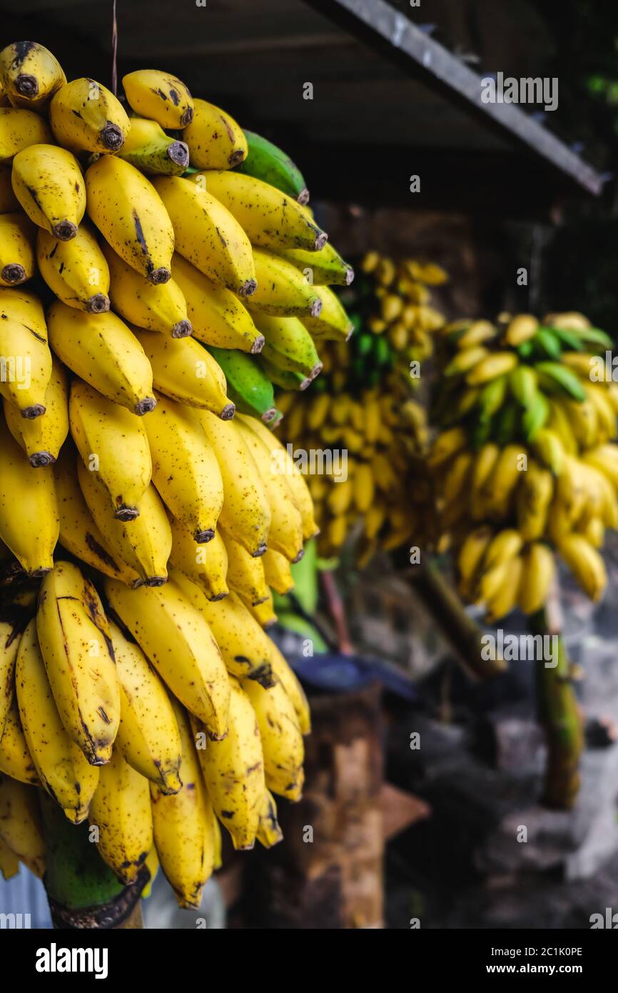 Vista delle banane in un mercato della frutta locale vicino alle cascate Ravana a Ella, Sri Lanka Foto Stock