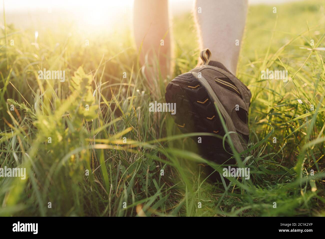 Primo piano di escursionista in scarpe speciali che camminano sull'erba Foto Stock