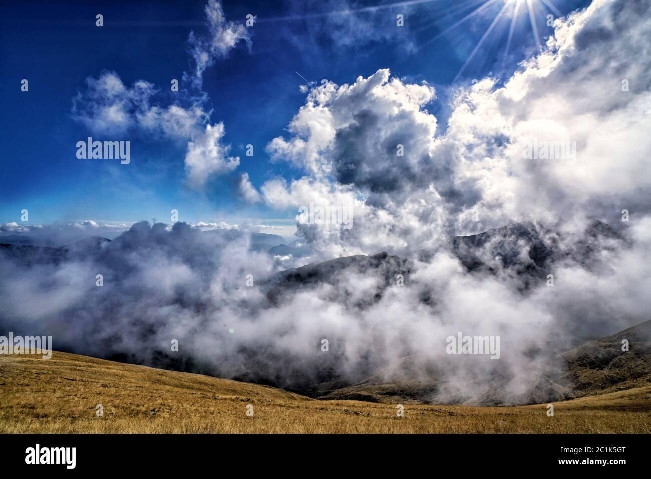 Verso il cielo Foto Stock