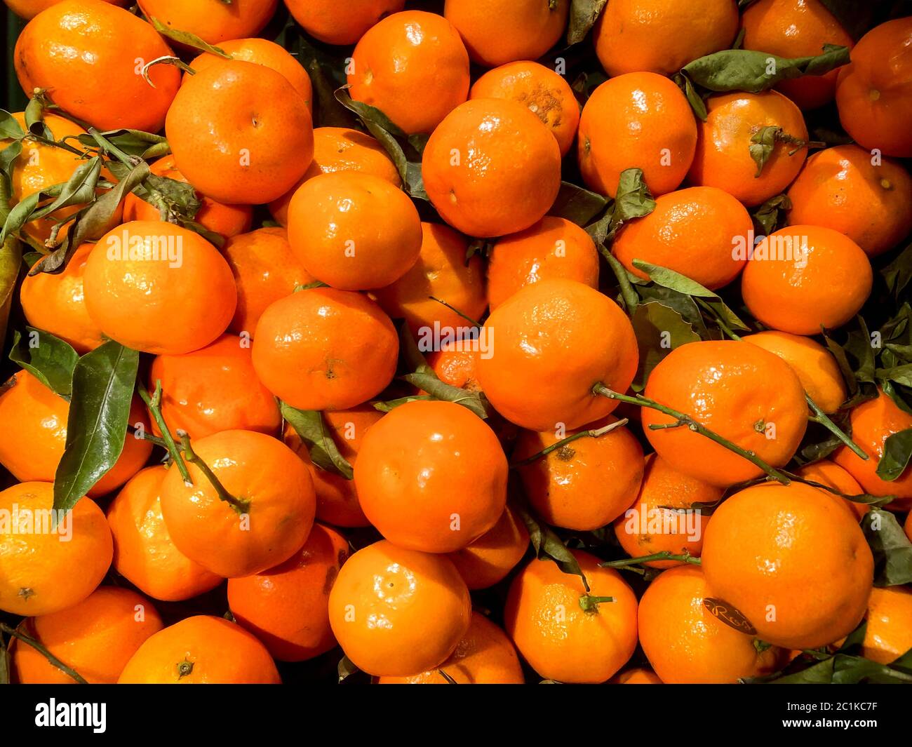 Clementine e tangerini Foto Stock
